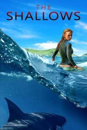 The Shallows 2016 