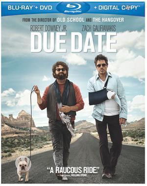 Due Date 2010